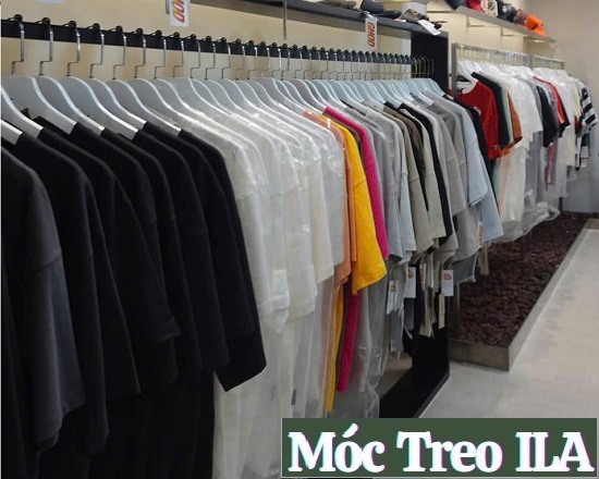 móc-gỗ-trắng-cổ-tròn